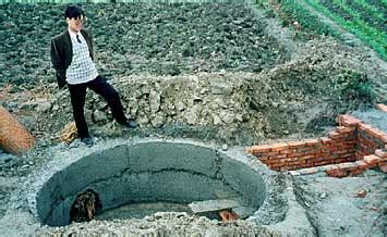 china anaerobic digestion rural area